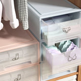 Plastic Drawer Organizer for Bras, Underwear, and Socks: Stackable and Dustproof