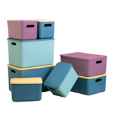 Lidded Household Storage Boxes: Organize Sundries, Toys, Clothes, and More