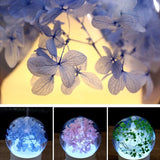 Hydrangea Aroma Diffuser: Essential Oil Flower Air Humidifier, Electric Atomizer - Perfect as a Christmas Gift