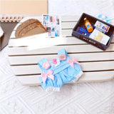 Labubu Doll Clothes Set – 17cm Plush Doll Outfit with Overalls, Dress & Hairpin for Cute Styling and Fashion Accessories Gift