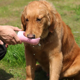 Portable 2-in-1 Dog Water Dispenser: Suitable for Small and Large Dogs, Cats, and Puppies, Ideal for Outdoor Travel, Walking, and Drinking