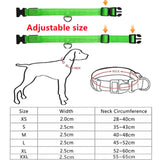 Adjustable LED Glowing Dog Collar: Rechargeable Flashing Luminous Collar for Nighttime Visibility and Anti-Lost Security