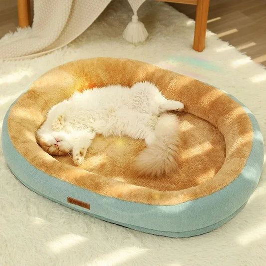 Cat and Puppy Bed Accessories, Including Houses, Baskets, Cushions, and Habitat Supplies for Pets and Kittens