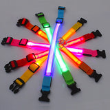 Adjustable LED Glowing Dog Collar: Rechargeable Flashing Luminous Collar for Nighttime Visibility and Anti-Lost Security