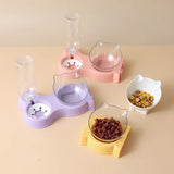 Spliceable Single-Head Cat Feeding Set: Double Bowl with Drinking Bottle, Non-Slip Tilt Rack, Essential Kitten Supplies