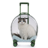 Portable Pet Carrier Trolley: Transparent Backpack for Cats and Dogs, Airline-Approved Travel Bag, Cat Accessories for Outings