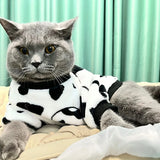 Stylish Winter Pet Clothes: Keep your cat warm and cozy with this cute sweatshirt, perfect for kittens