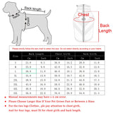 Winter Reflective Dog Vest: Waterproof, and Windproof Coat for Small and Large Dogs