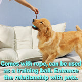 Interactive Rubber Dog Toys: Ideal for Large and Small Dogs, Cats, Promotes Chew Training