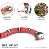 Smart Interactive Cat Toy: Automatic Electronic Snake Teaser for Indoor Play - USB Rechargeable, Ideal for Cats and Kittens