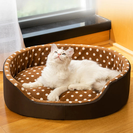 Dot Sponge Pet Beds and Mats – Cozy Cushions and Baskets for Cats and Dogs – Houses, Habitats, and Accessories for Puppies