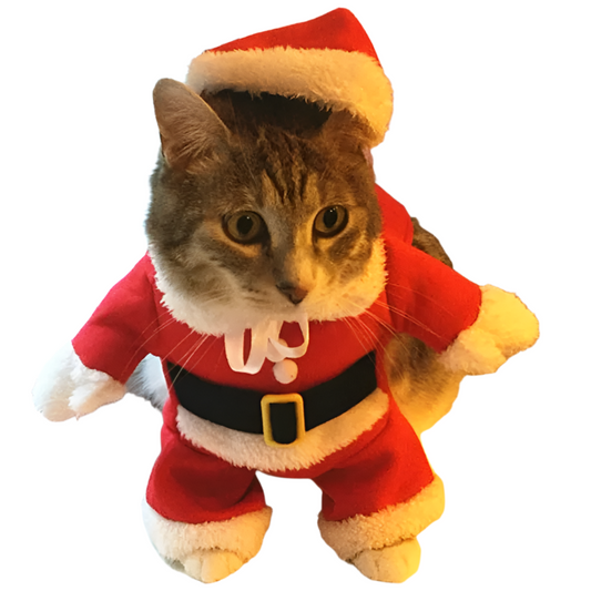 Festive Christmas Cat Outfits: Comical Santa Claus Attire for Small Cats and Dogs, Perfect for Xmas and New Year Celebrations - Cozy Winter Apparel for Kittens