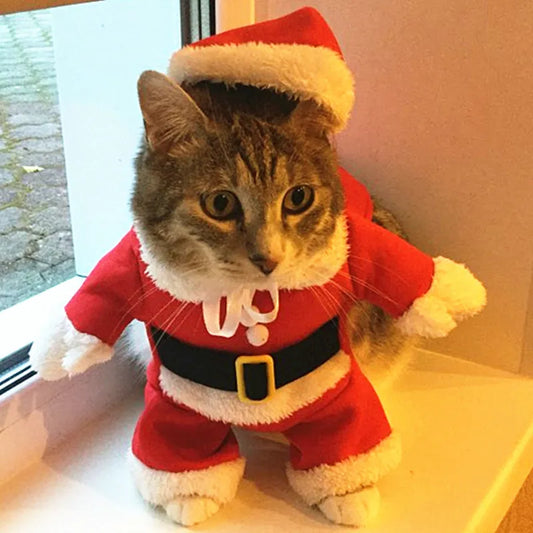 Festive Christmas Cat Outfits: Comical Santa Claus Attire for Small Cats and Dogs, Perfect for Xmas and New Year Celebrations - Cozy Winter Apparel for Kittens