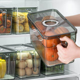 Light Luxury Refrigerator Storage Box: Household Container for Fresh Food, Fruits, and Vegetables