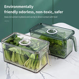 Light Luxury Refrigerator Storage Box: Household Container for Fresh Food, Fruits, and Vegetables