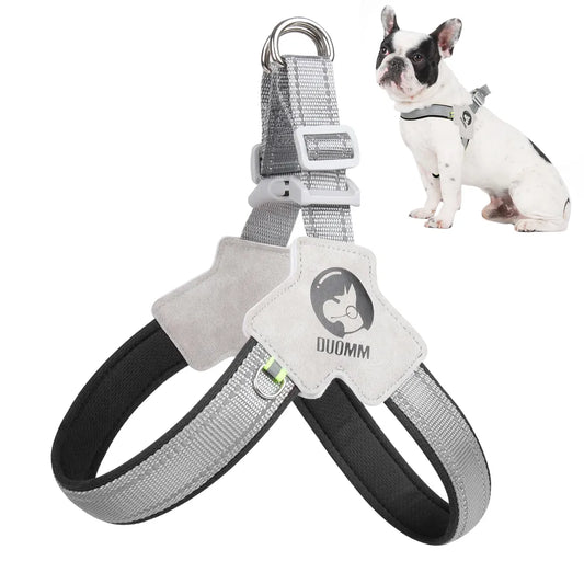 Breathable Summer Dog Harness: No-Pull Chest Strap for Small to Medium Dogs and Cats, Ideal for Travel and Walking