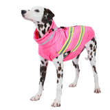 Winter Reflective Dog Vest: Waterproof, and Windproof Coat for Small and Large Dogs