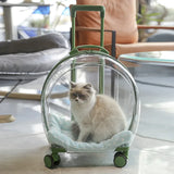 Portable Pet Carrier Trolley: Transparent Backpack for Cats and Dogs, Airline-Approved Travel Bag, Cat Accessories for Outings