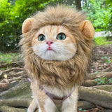 Funny Lion Wig Costume for Cats and Dogs: Perfect for Halloween Cosplay Dress-Up, Cute Pet Hat for Small Dogs and Kittens