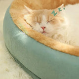 Cat and Puppy Bed Accessories, Including Houses, Baskets, Cushions, and Habitat Supplies for Pets and Kittens