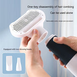 3-in-1 Pet Hair Styling Tool: Water Blower, Hair Puller, and Dryer for Dogs, Includes Teddy Hair Comb for Grooming