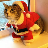 Festive Christmas Cat Outfits: Comical Santa Claus Attire for Small Cats and Dogs, Perfect for Xmas and New Year Celebrations - Cozy Winter Apparel for Kittens