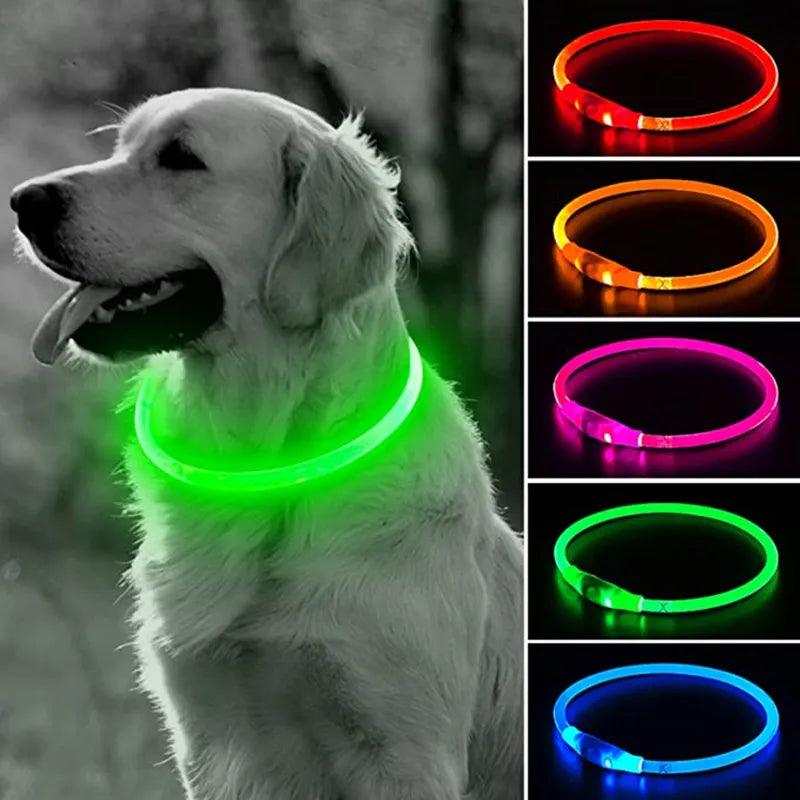 Led Dog Collar Luminous Usb Cat Dog Collar 3 Modes Led Light Glowing Loss Prevention LED Collar For Dogs Pet Dog Accessories - Mmuz Store